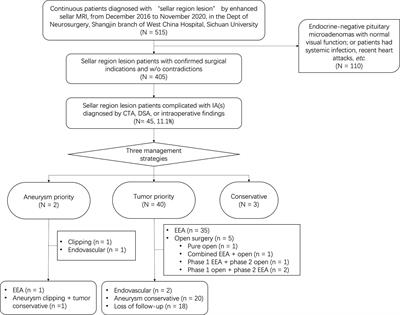 Sellar Region Lesions and Intracranial Aneurysms in the Era of Endoscopic Endonasal Approach